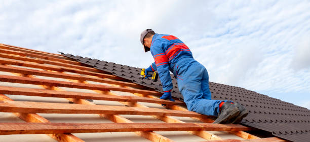 Best Roof Moss and Algae Removal  in Tenino, WA