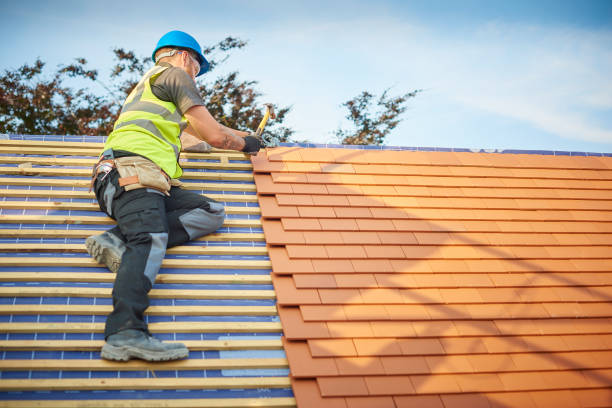 Best Solar Panel Roofing Installation  in Tenino, WA